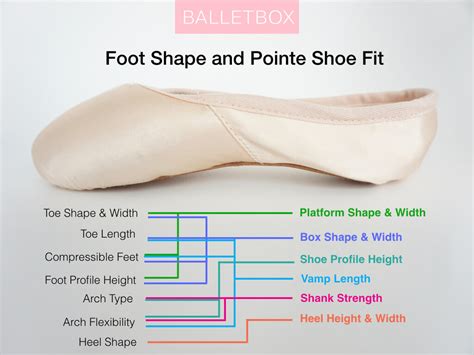 Pointe Shoe Guide 